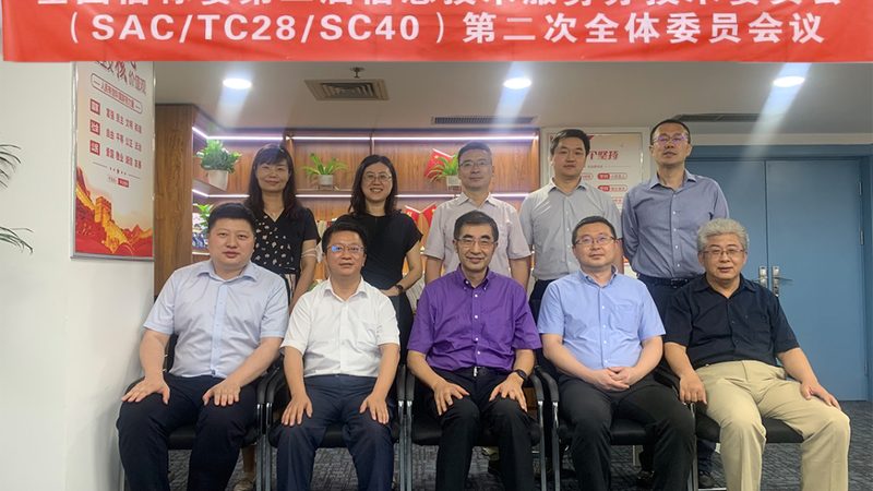 政府单位IT运维外包：优势与考量因素